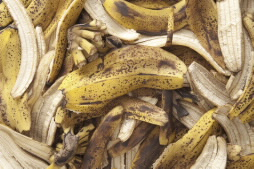 Banana Peels